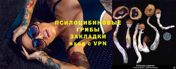 МДПВ Алексеевка