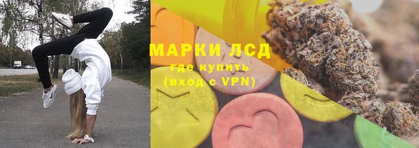 эйфоретик Алзамай