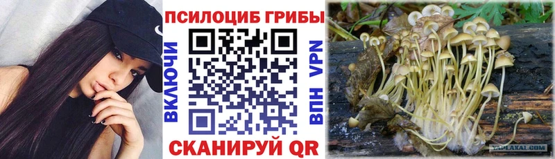 купить закладку  omg онион  Псилоцибиновые грибы GOLDEN TEACHER  Уяр 